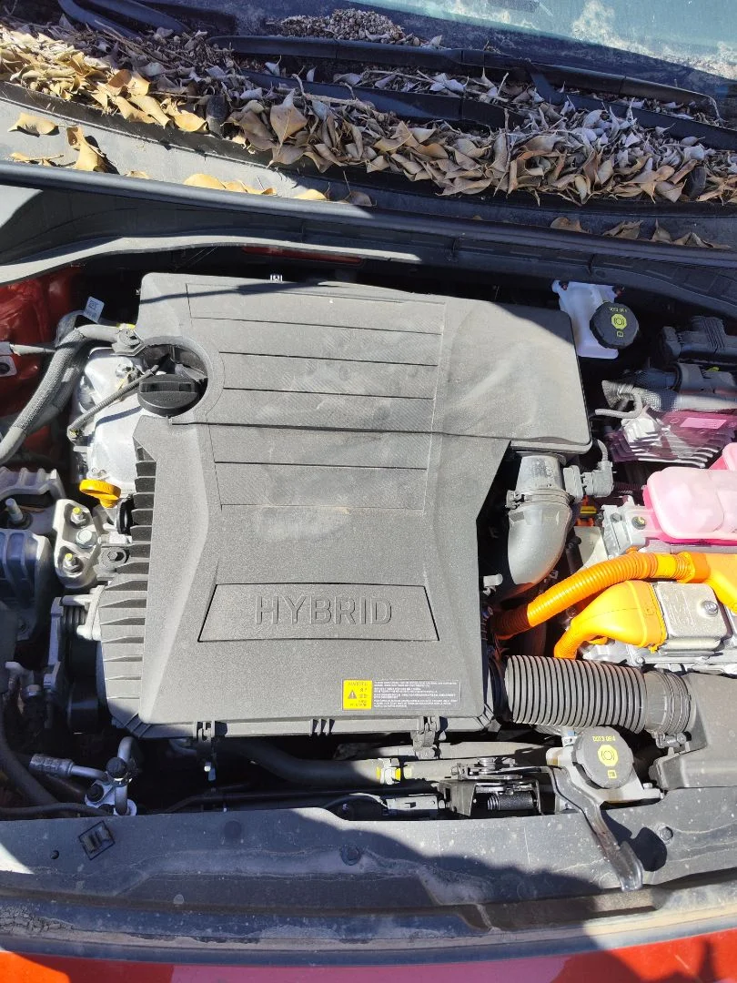 Foto de MOTOR COMPLETO KIA NIRO (SG2) Híbrido 104 kW (1.6 Ltr. - 77 kW) (141 CV / 104 KW) referencia G4LE