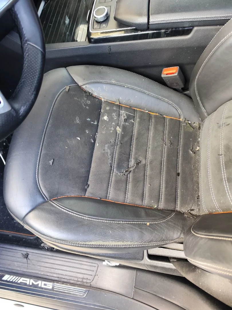Foto de ASIENTO DELANTERO IZQUIERDO MERCEDES-BENZ CLASE GLE (BM 292) COUPE 3.0 CAT (390 CV / 287 KW) referencia A1679100105