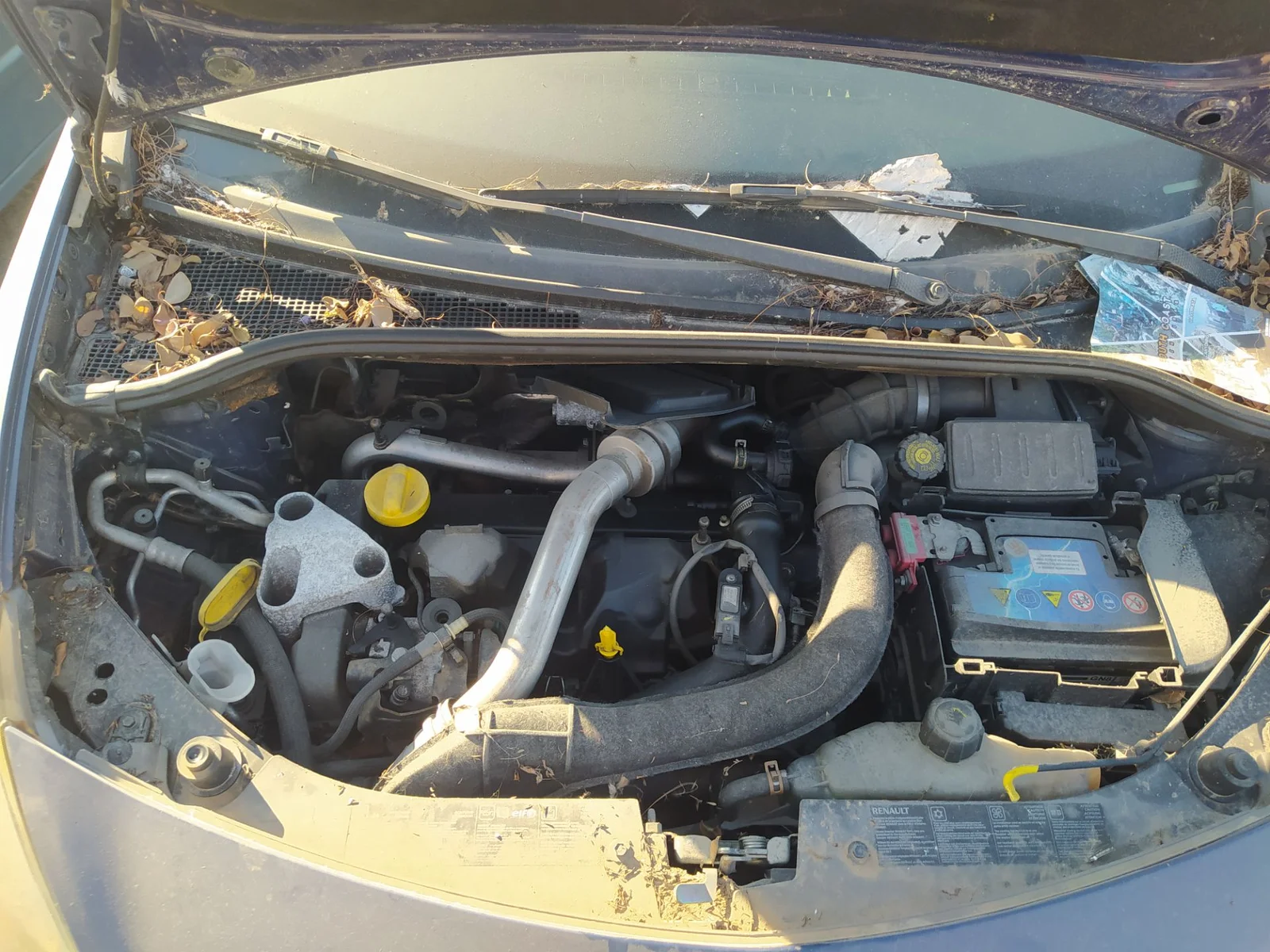 Foto de COMPRESOR AIRE ACONDICIONADO RENAULT CLIO III 1.5 dCi Diesel CAT (86 CV / 63 KW) referencia 8200953359
