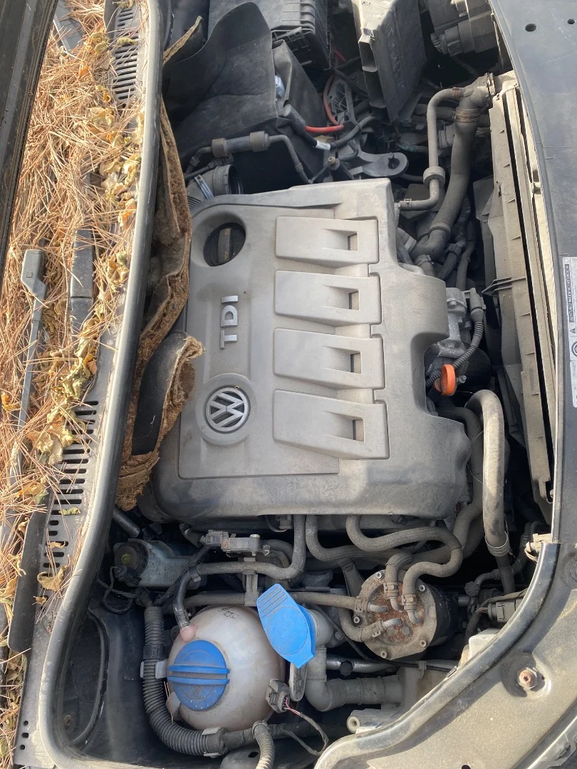 Foto de MOTOR COMPLETO VOLKSWAGEN TOURAN (1T3) 1.6 TDI DPF (105 CV / 77 KW) referencia CAY