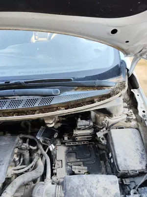 Foto de BRAZO LIMPIA DELANTERO IZQUIERDO KIA CEED (JD) 1.4 CAT (99 CV / 73 KW)