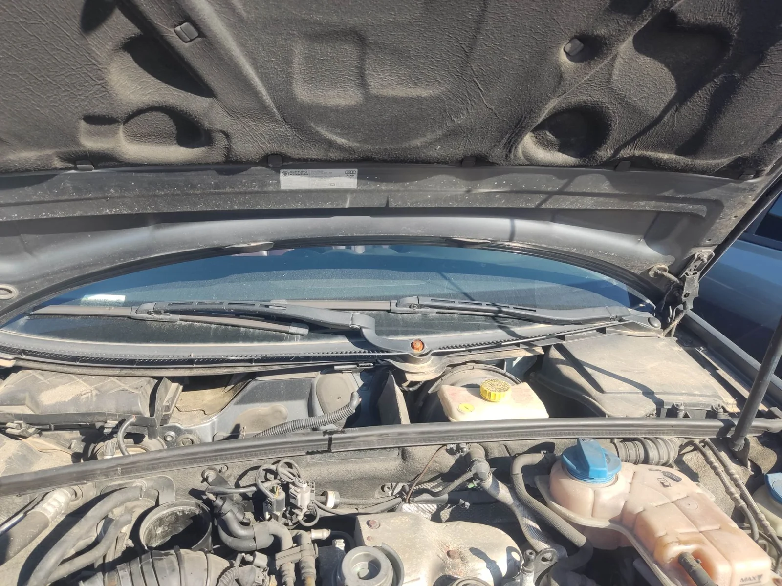 Foto de MOTOR LIMPIA DELANTERO AUDI A4 AVANT (8E) 1.9 TDI (131 CV / 96 KW) referencia 8E1955119