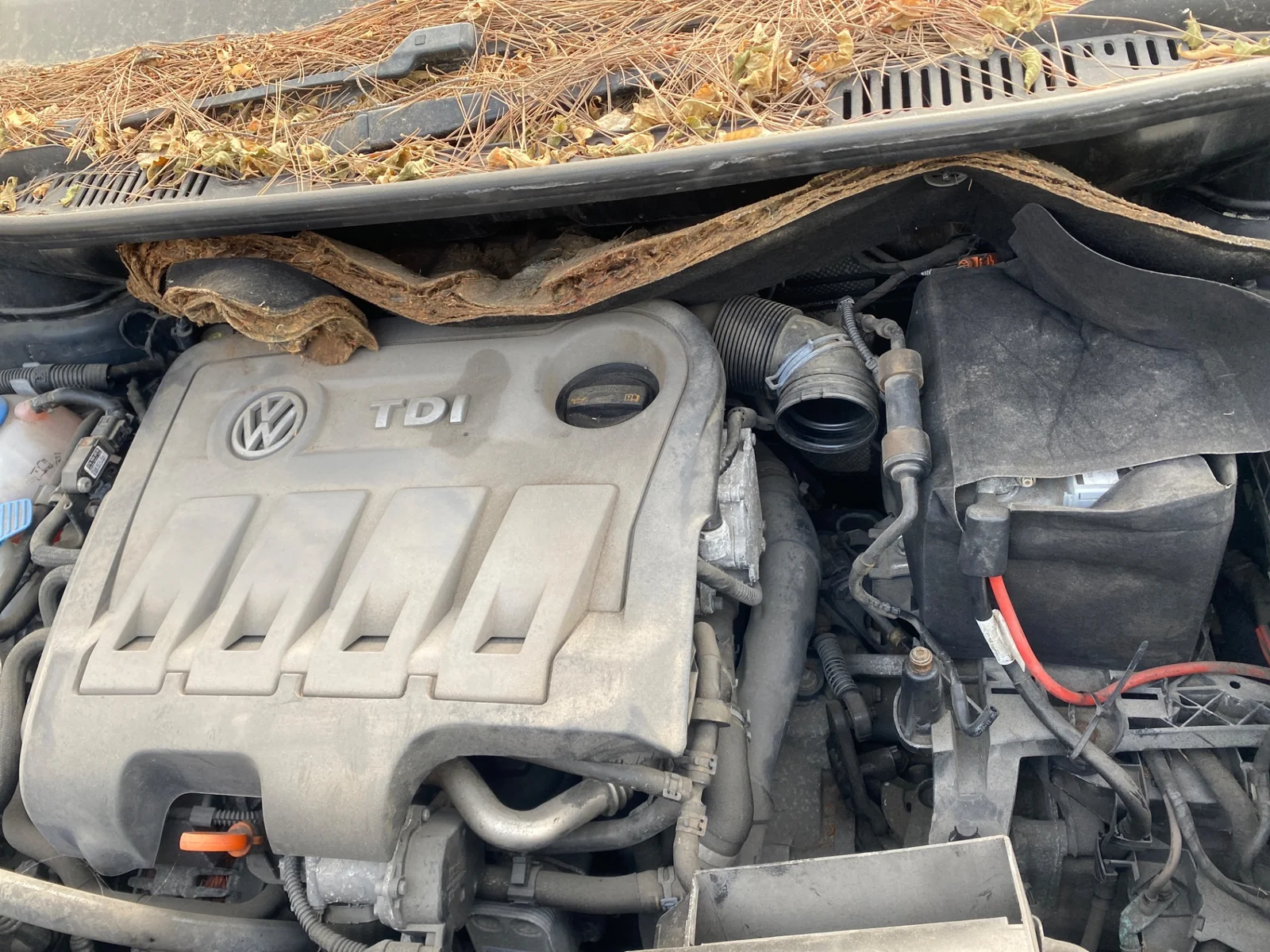 Foto de CENTRALITA MOTOR UCE VOLKSWAGEN TOURAN (1T3) 1.6 TDI DPF (105 CV / 77 KW) referencia 03L906023PGFKZ