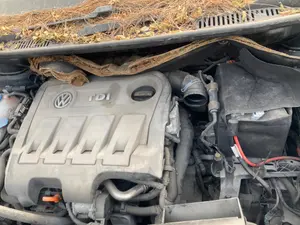 Foto de CENTRALITA MOTOR UCE VOLKSWAGEN TOURAN (1T3) 1.6 TDI DPF (105 CV / 77 KW) referencia 03L906023PGFKZ