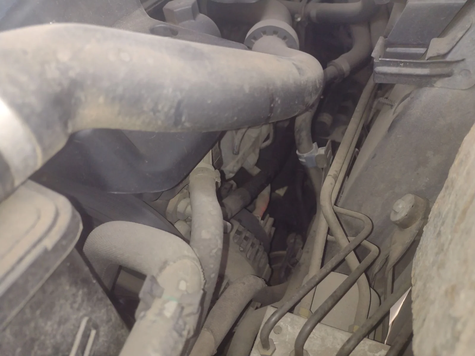 Foto de TUBO PRESION DIRECCION ASISTIDA BMW SERIE X5 (E53) 3.0 Turbodiesel CAT (218 CV / 160 KW)