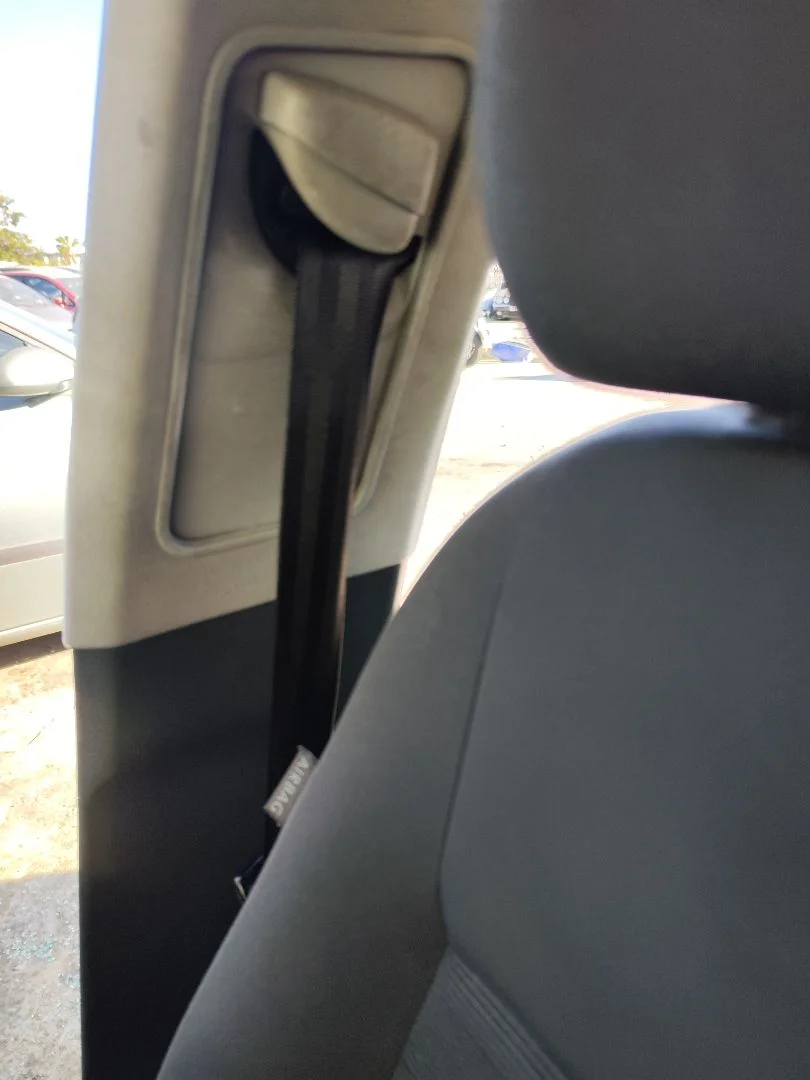 Foto de CINTURON SEGURIDAD DELANTERO DERECHO VOLKSWAGEN GOLF PLUS V (5M1) 1.9 TDI (105 CV / 77 KW)