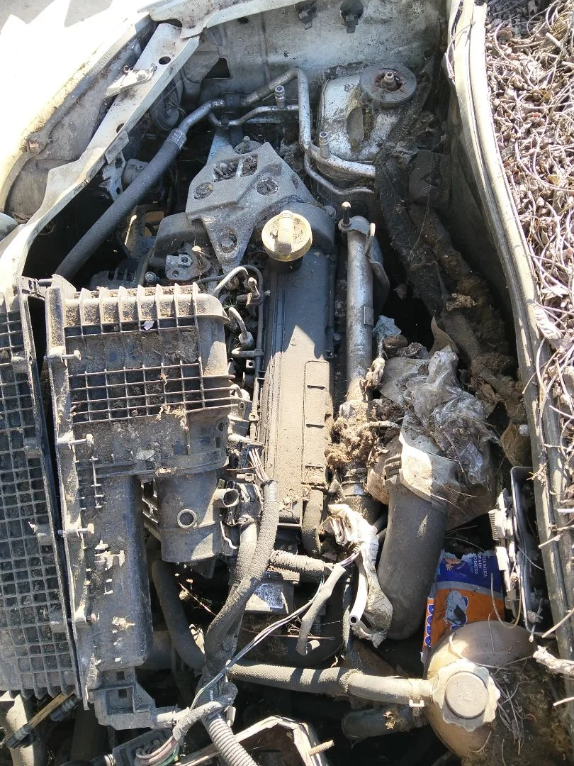 Foto de DESPIECE MOTOR RENAULT KANGOO I (F/KC0) 1.5 dCi Diesel (82 CV / 60 KW) referencia K9K702