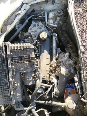 Foto de DESPIECE MOTOR RENAULT KANGOO I (F/KC0) 1.5 dCi Diesel (82 CV / 60 KW) referencia K9K702