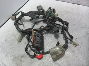 Foto de CABLEADO ELECTRICO HONDA PCX 125 125 cm3 - 9 kW (12 CV / 9 KW) referencia 32100-K96-D000 foto 2