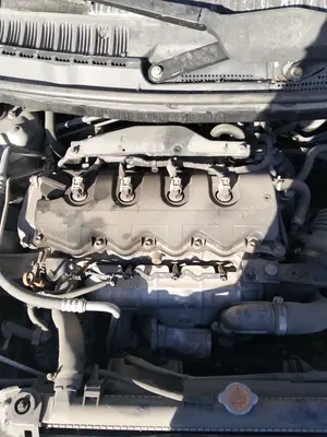 Foto de BOMBA DIRECCION NISSAN ALMERA TINO (V10M) 1.8 16V CAT (114 CV / 84 KW) referencia 49110BU001