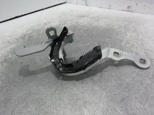 Foto de BISAGRA PUERTA BMW SERIE X3 (G01) 3.0 24V Turbodiesel (265 CV / 195 KW) referencia 7397316 foto 3
