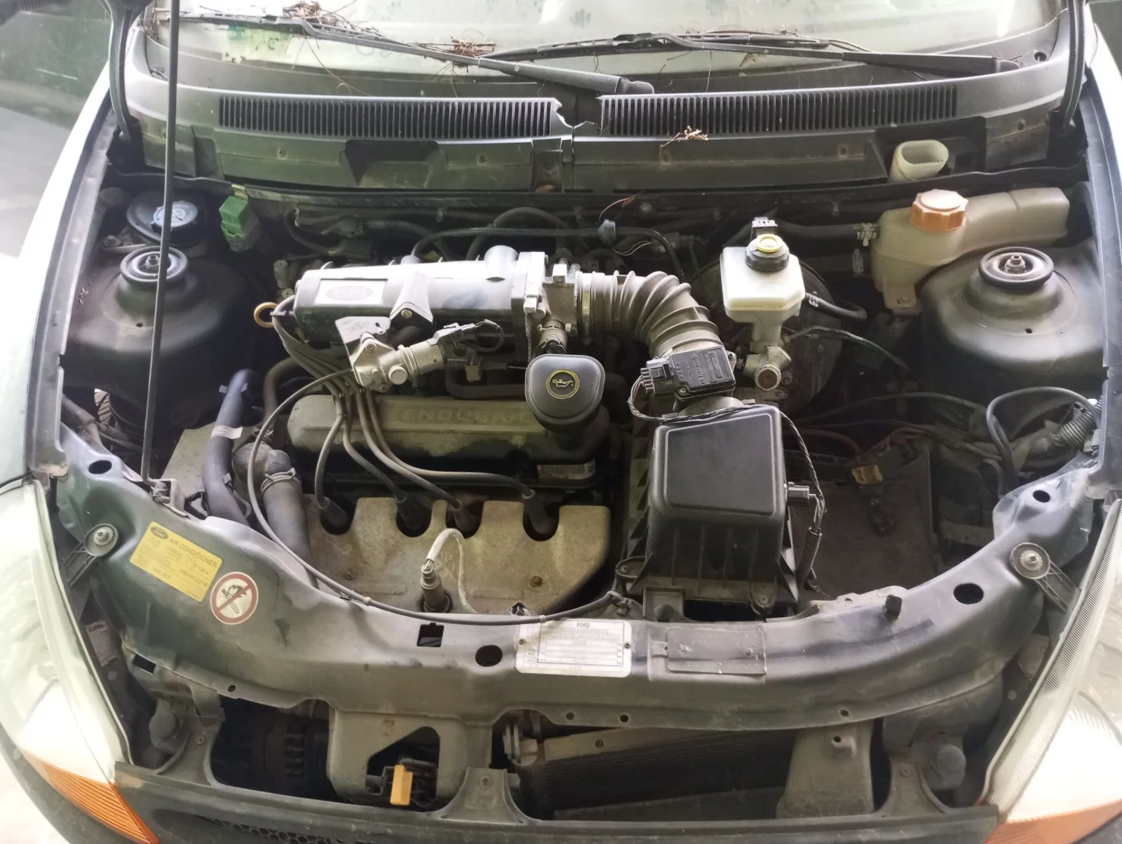 Foto de MOTOR COMPLETO FORD KA (CCQ) 1.3 CAT (50 CV / 37 KW)