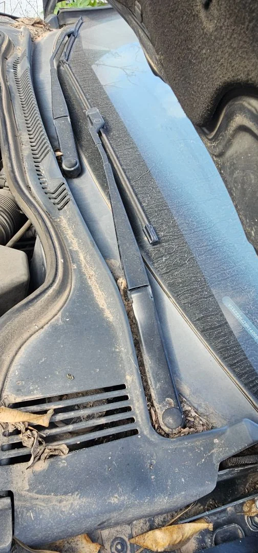 Foto de BRAZO LIMPIA DELANTERO IZQUIERDO SEAT IBIZA BERLINA (6J5) 1.4 TDI (80 CV / 59 KW) referencia 6J1955409