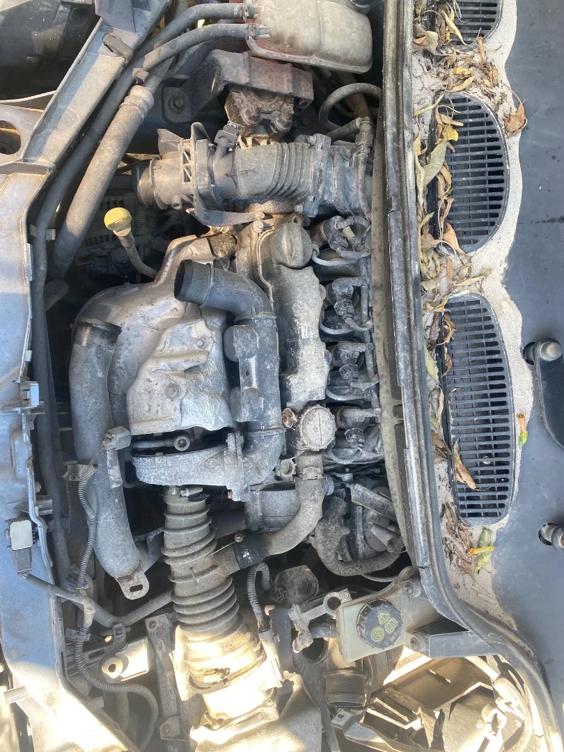 Foto de MOTOR COMPLETO FORD FOCUS C-MAX (CAP)(2003) 1.6 TDCi CAT (109 CV / 80 KW)