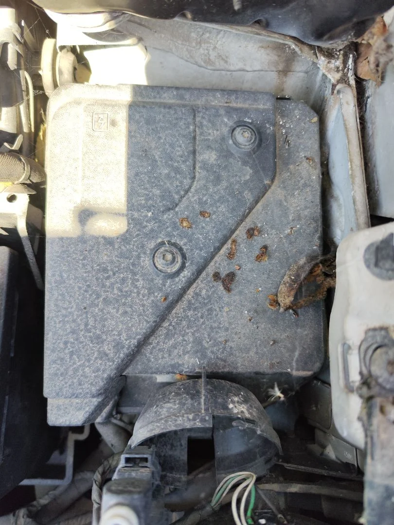 Foto de CAJA RELES / FUSIBLES RENAULT KANGOO II (F/KW0) 1.5 dCi Diesel CAT (86 CV / 63 KW)