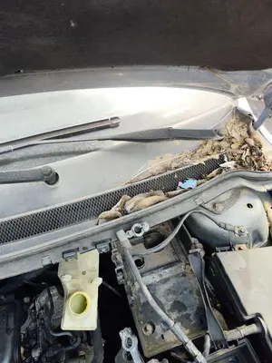 Foto de BRAZO LIMPIA DELANTERO IZQUIERDO FORD FOCUS BERLINA (CAP) 1.6 TDCi CAT (90 CV / 66 KW) referencia 1731534