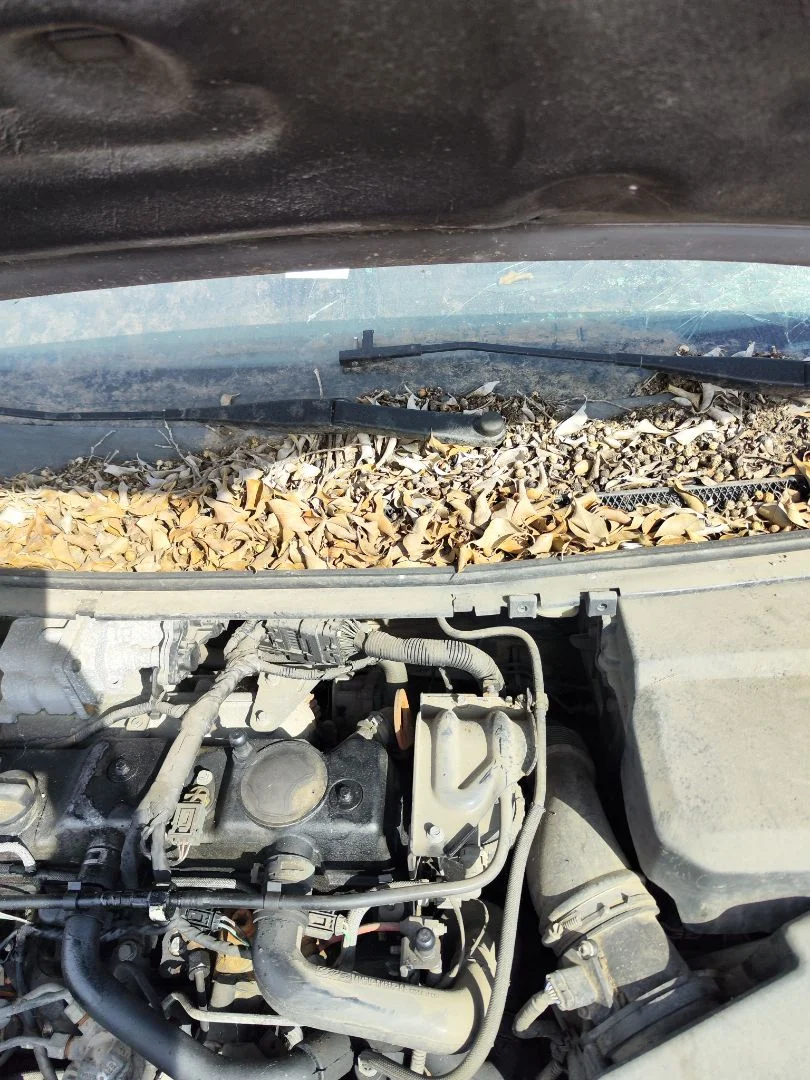 Foto de MOTOR LIMPIA DELANTERO FORD FOCUS BERLINA (CAP) 1.8 TDCi Turbodiesel CAT (116 CV / 85 KW)
