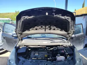 Foto de CAPO OPEL CORSA D 1.2 16V CAT (Z 12 XEP / LB4) (80 CV / 59 KW) foto 1