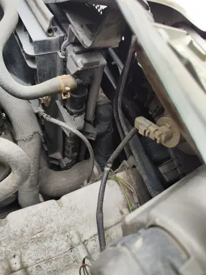 Foto de RADIADOR AGUA CITROEN JUMPY 2.0 HDi CAT (RHX / DW10BTED) (94 CV / 69 KW)