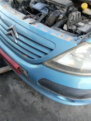 Foto de REJILLA DELANTERA CITROEN C3 1.4 HDi (68 CV / 50 KW)
