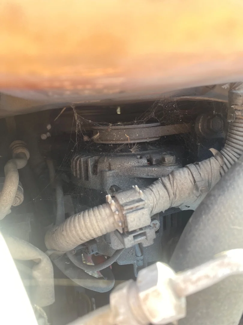 Foto de ALTERNADOR NISSAN ALMERA (N15) 2.0 Diesel (75 CV / 55 KW)