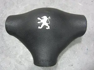 Foto de AIRBAG DELANTERO IZQUIERDO PEUGEOT 206 1.6 (88 CV / 65 KW) referencia 96257484ZR foto 1