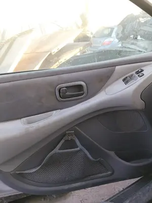 Foto de GUARNECIDO PUERTA DELANTERA IZQUIERDA NISSAN ALMERA TINO (V10M) 1.8 16V CAT (114 CV / 84 KW) referencia 80901BU700