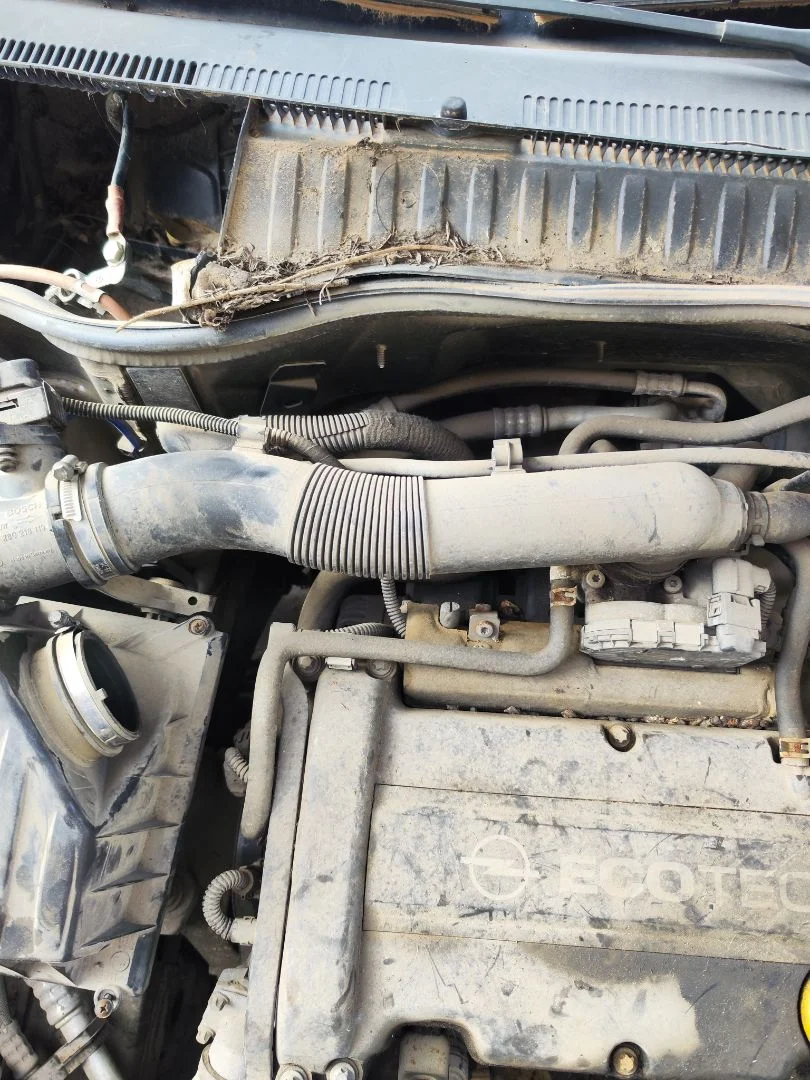 Foto de TUBO OPEL CORSA C 1.2 16V CAT (Z 12 XEP / LB4) (80 CV / 59 KW)