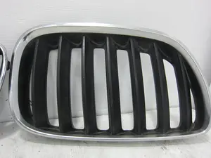 Foto de REJILLA DELANTERA BMW SERIE X5 (E53) foto 2