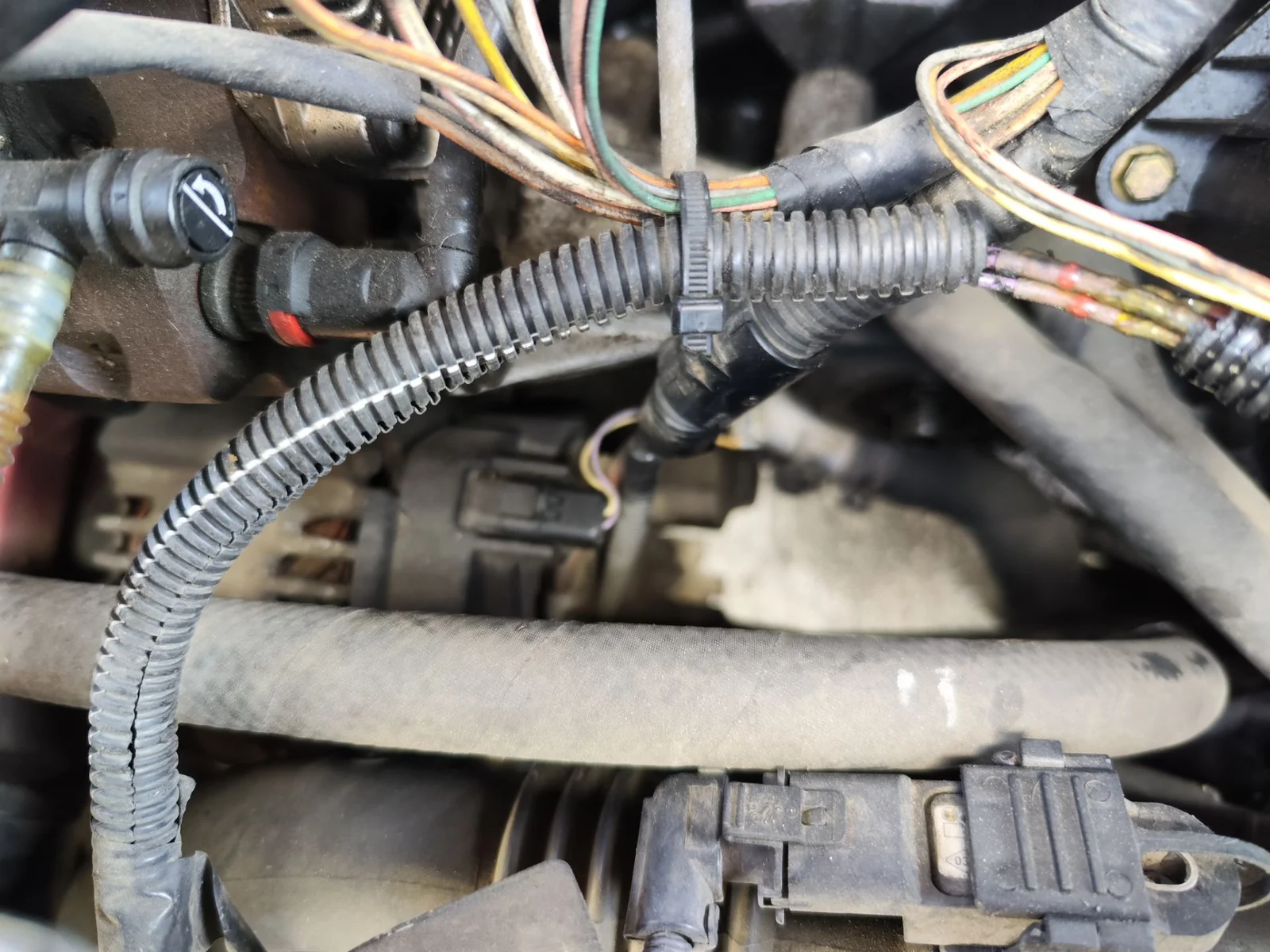 Foto de ALTERNADOR RENAULT MEGANE II BERLINA 3P 1.9 dCi Diesel (120 CV / 88 KW) referencia 8200086161