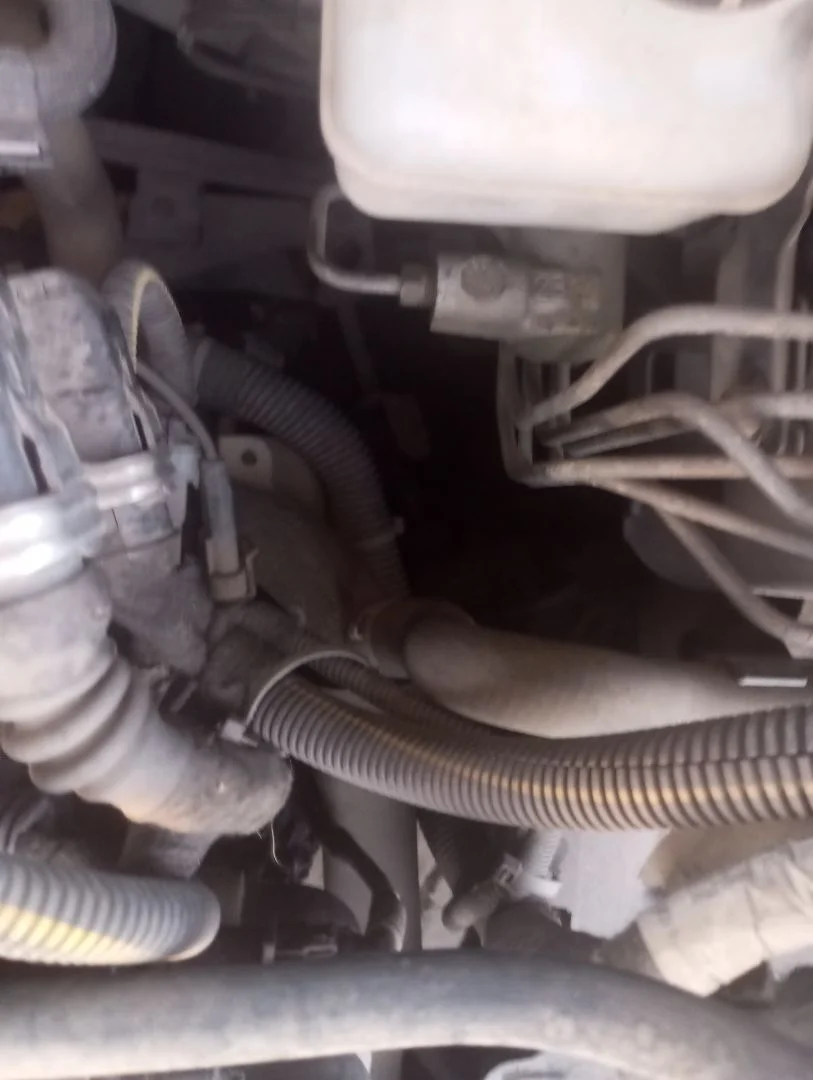 Foto de CAJA CAMBIOS OPEL ASTRA G BERLINA 1.6 CAT (Z 16 SE / L55) (84 CV / 62 KW) referencia 55351336