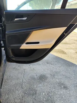 Foto de GUARNECIDO PUERTA TRASERA DERECHA JAGUAR XE 2.0 Turbo CAT (200 CV / 147 KW) foto 2