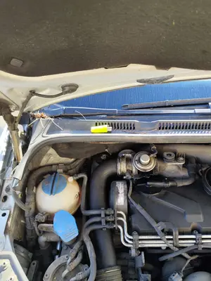 Foto de BRAZO LIMPIA DELANTERO DERECHO VOLKSWAGEN GOLF PLUS V (5M1) 1.9 TDI (105 CV / 77 KW)