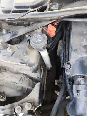 Foto de DEPOSITO LIMPIA BMW SERIE 3 BERLINA (E90) 2.0 16V Diesel (163 CV / 120 KW)
