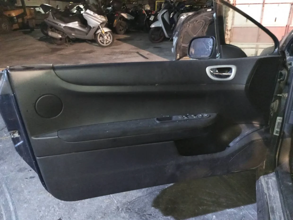 Foto de GUARNECIDO PUERTA DELANTERA IZQUIERDA PEUGEOT 307 CC CABRIO-COUPÉ (S2)