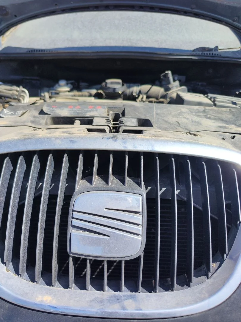 Foto de REJILLA DELANTERA SEAT ALTEA (5P1) 1.9 TDI (105 CV / 77 KW)