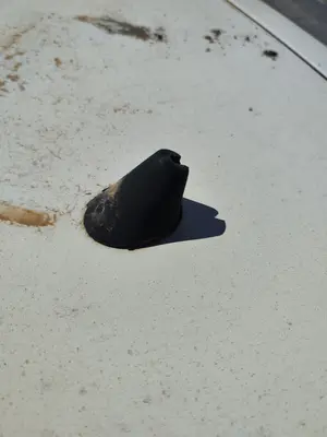 Foto de BASE DE ANTENA SEAT IBIZA (6K1) 1.4  (60 CV / 44 KW)