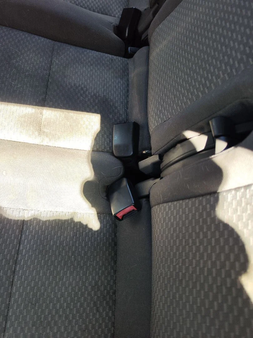 Foto de ENGANCHE CINTURON TRASERO IZQUIERDO FORD FOCUS C-MAX (CAP)(2003) 1.6 TDCi CAT (90 CV / 66 KW)