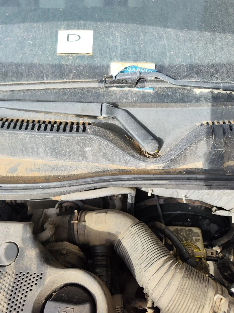 Foto de CENTRALITA MOTOR UCE SEAT LEON (1M1) 1.6 (101 CV / 74 KW) referencia 036906032A