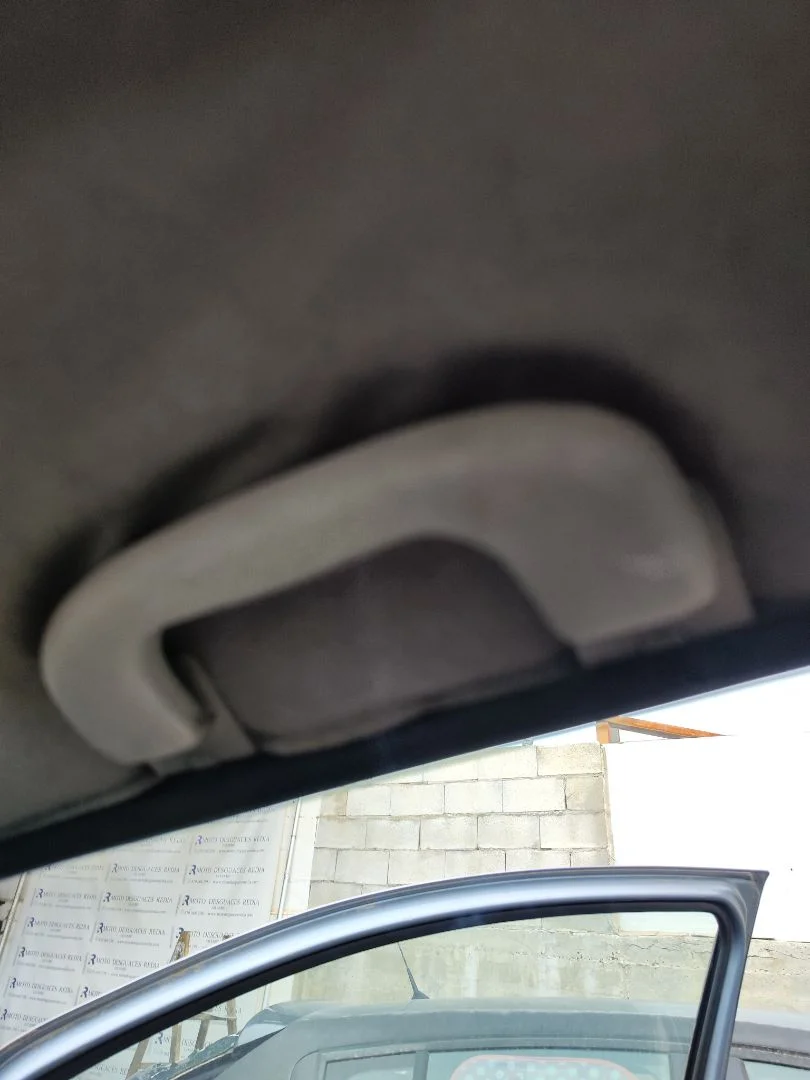 Foto de ASIDERO TECHO DELANTERO DERECHO OPEL ZAFIRA A 2.0 DTI (101 CV / 74 KW)