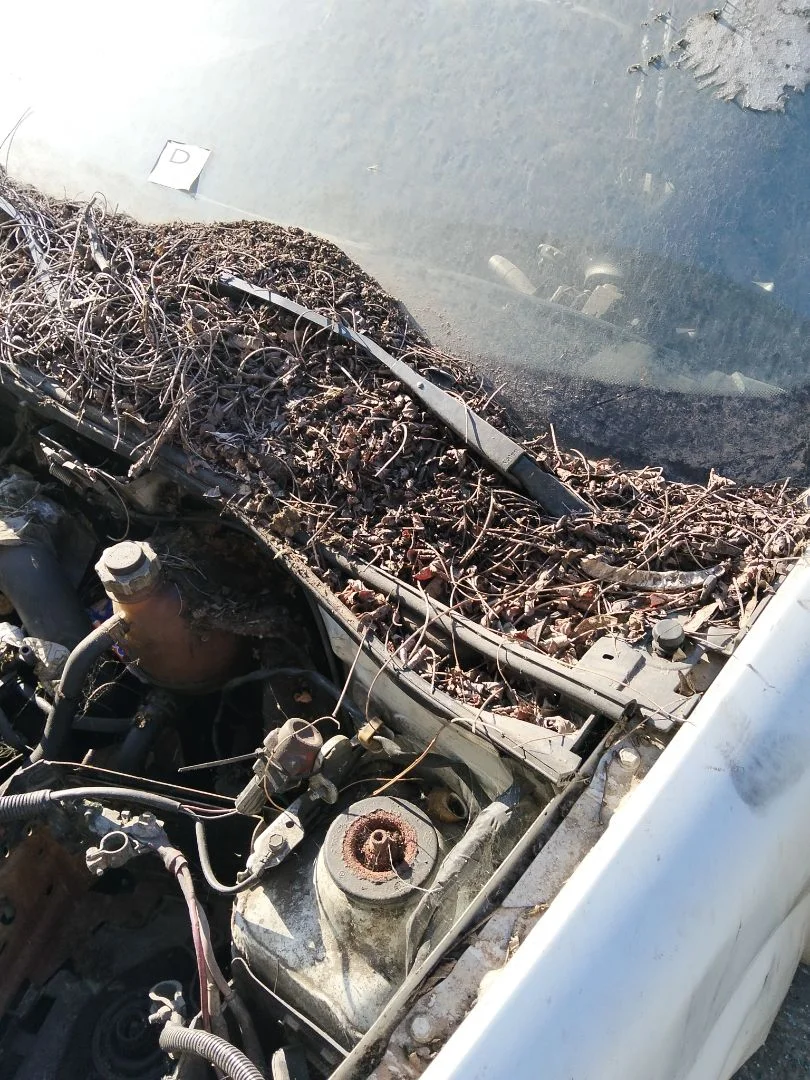 Foto de BRAZO LIMPIA DELANTERO IZQUIERDO RENAULT KANGOO I (F/KC0) 1.5 dCi Diesel (82 CV / 60 KW)
