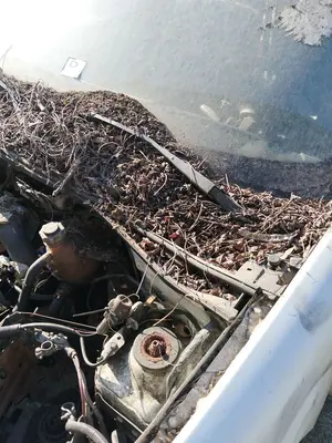 Foto de BRAZO LIMPIA DELANTERO IZQUIERDO RENAULT KANGOO I (F/KC0) 1.5 dCi Diesel (82 CV / 60 KW)