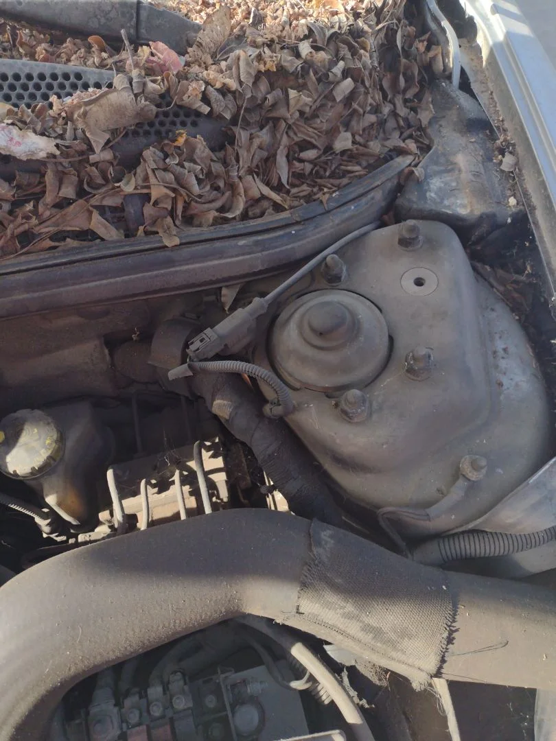 Foto de BOMBIN EMBRAGUE ALFA ROMEO GT (125) 1.9 JTD (M) 16V CAT (150 CV / 110 KW)