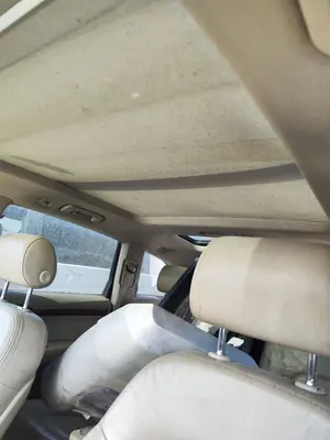 Foto de TECHO INTERIOR AUDI Q7 (4L) 3.0 V6 24V TDI (233 CV / 171 KW) referencia 4L0867505AAK23 foto 3