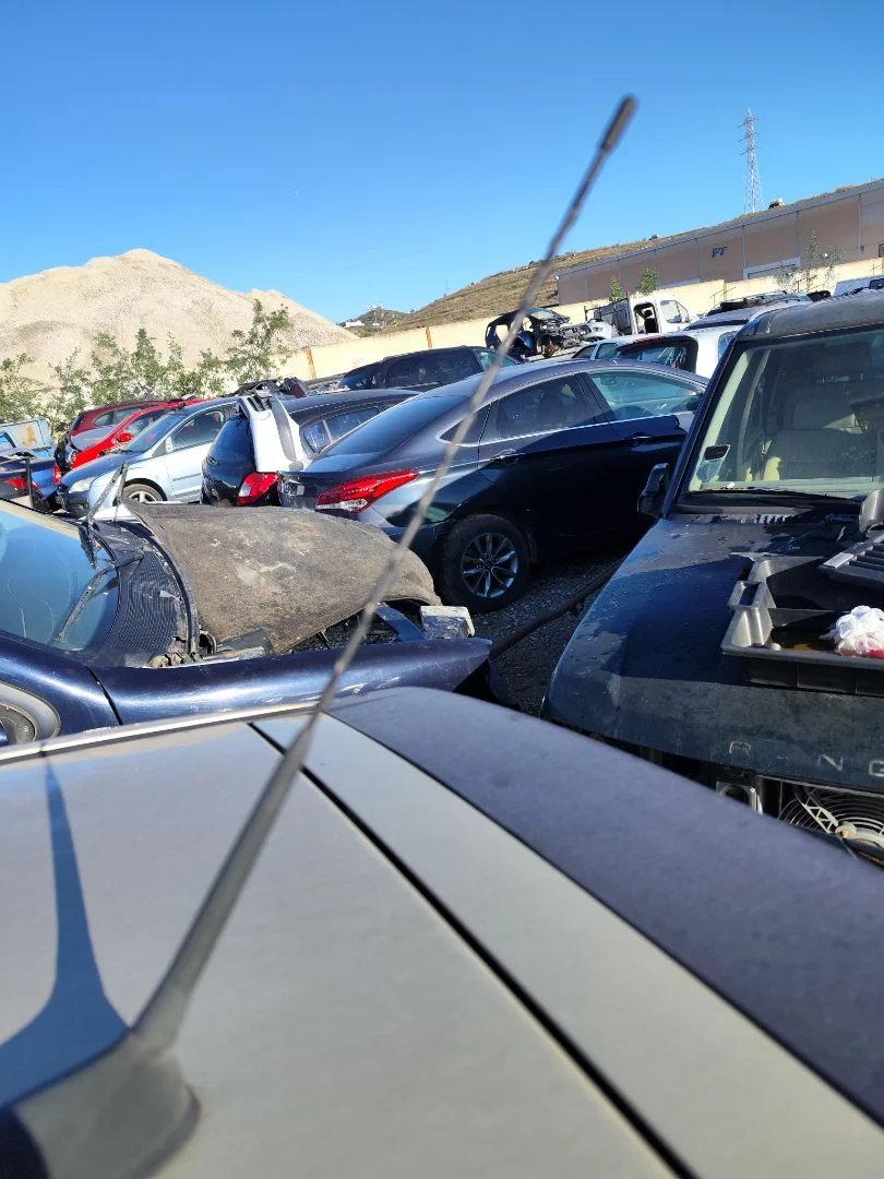 Foto de ANTENA CITROEN C4 BERLINA 1.6 16V HDi (90 CV / 66 KW)