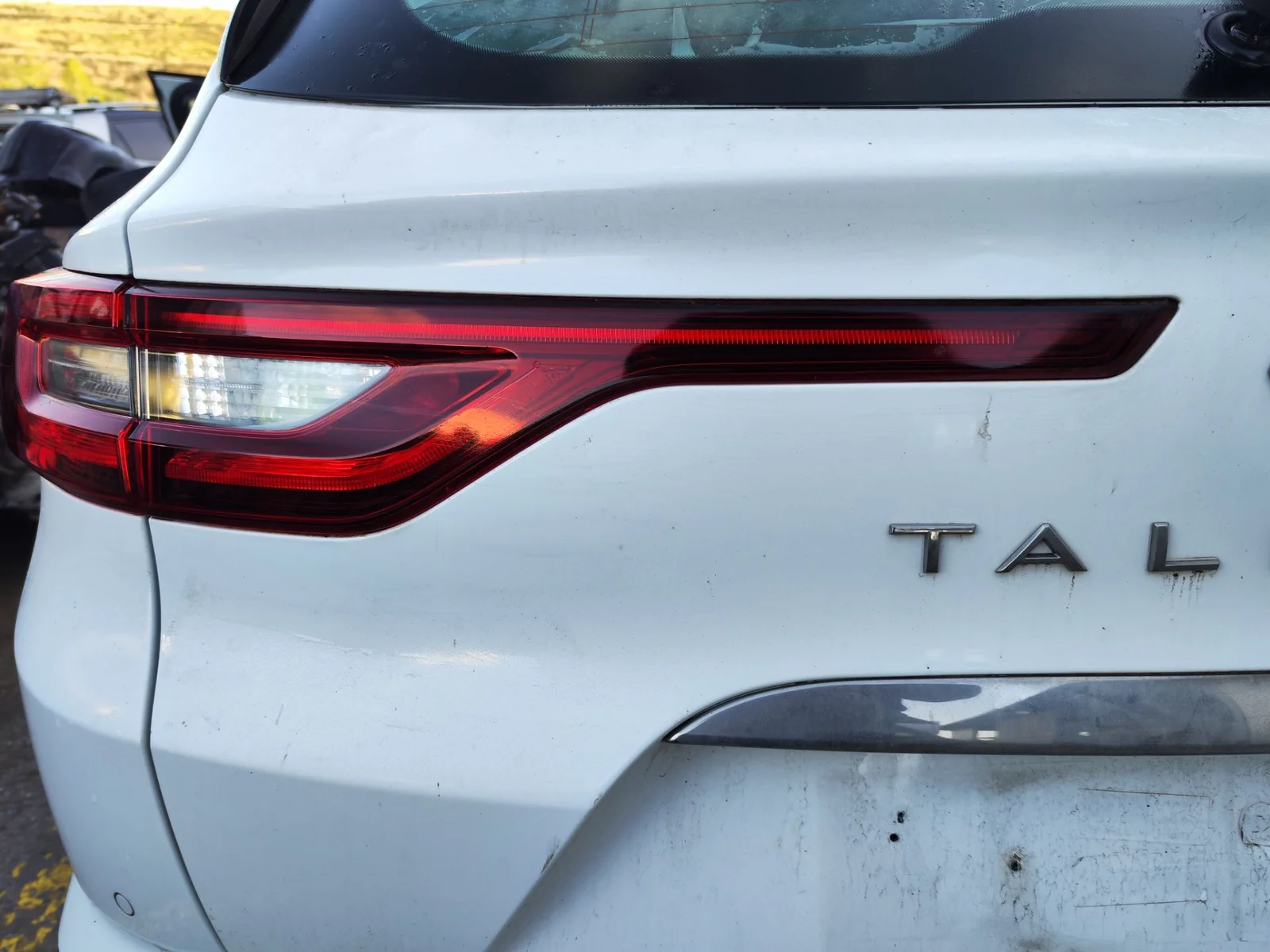 Foto de PILOTO TRASERO IZQUIERDO INTERIOR RENAULT TALISMAN SPORT TOURER 1.6 dCi Diesel FAP Energy (131 CV / 96 KW) referencia 265559260R