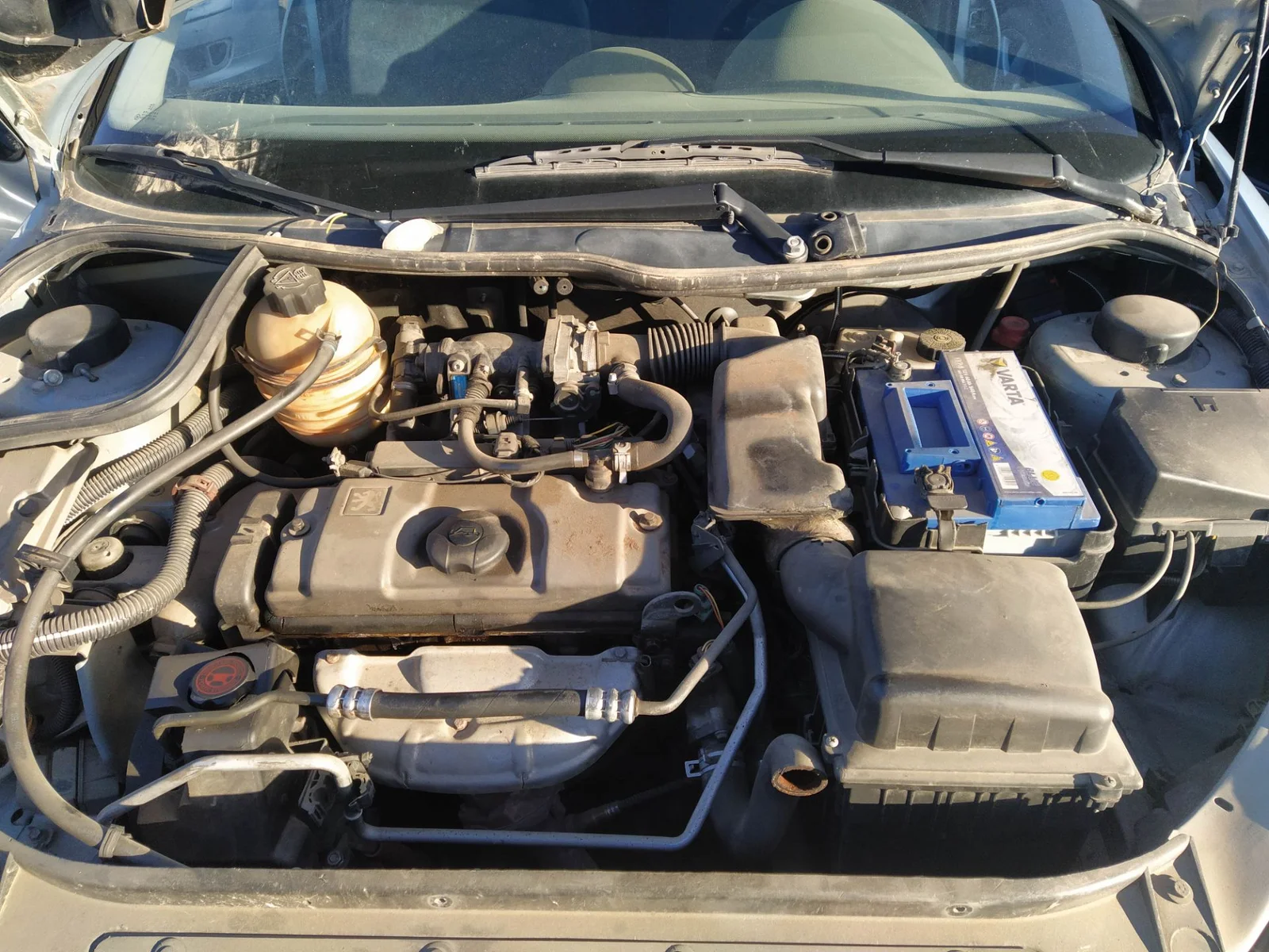 Foto de CABLEADO ELECTRICO PEUGEOT 206 1.6 (88 CV / 65 KW)