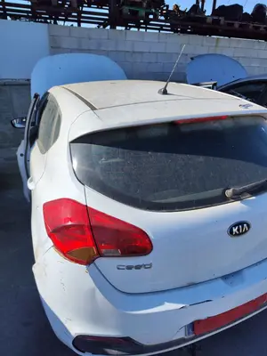 Foto de PORTON TRASERO KIA CEED (JD) 1.4 CAT (99 CV / 73 KW) foto 3
