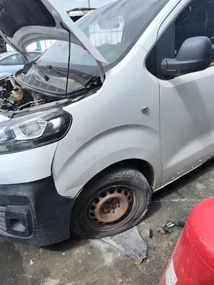 Foto de ALETA DELANTERA IZQUIERDA FIAT SCUDO (506) FURGON 1.5 (100 CV / 75 KW) referencia 9808757880