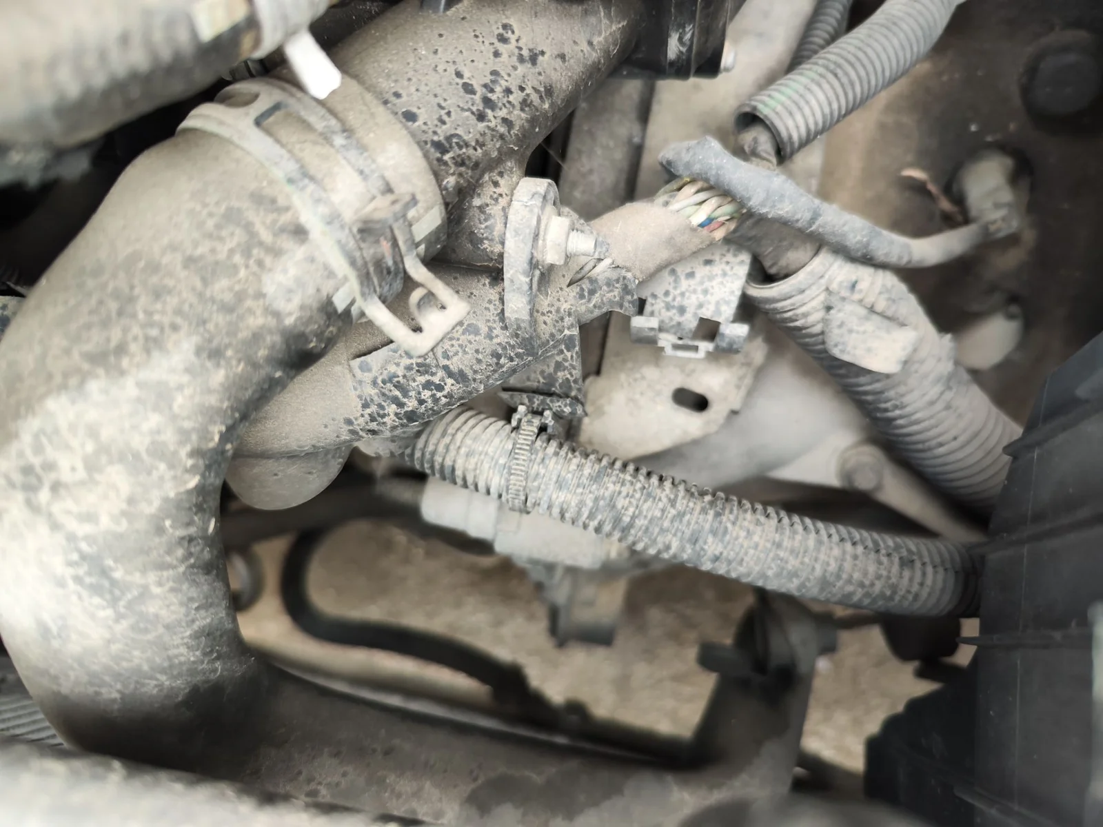 Foto de MOTOR ARRANQUE CITROEN XSARA PICASSO 2.0 HDi CAT (RHY / DW10TD) (90 CV / 66 KW)